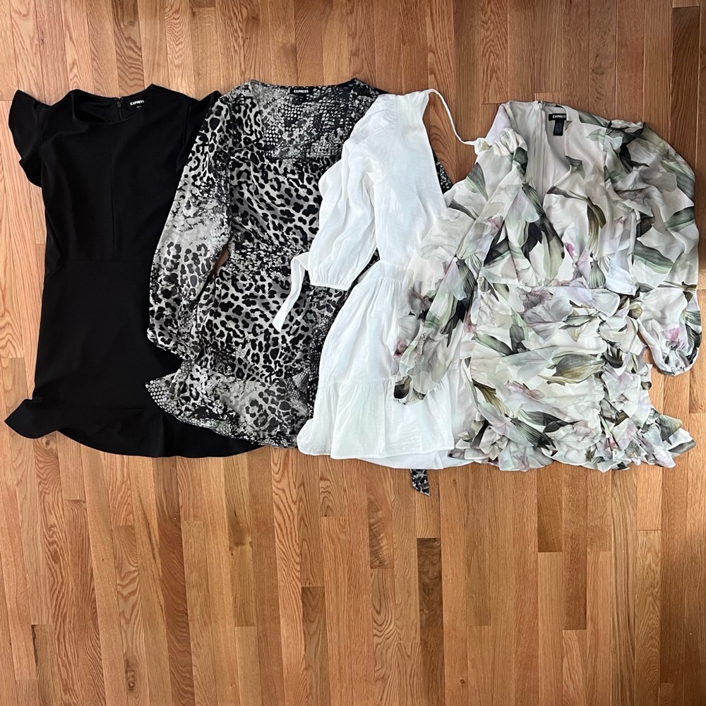 Express Dresses Bundle